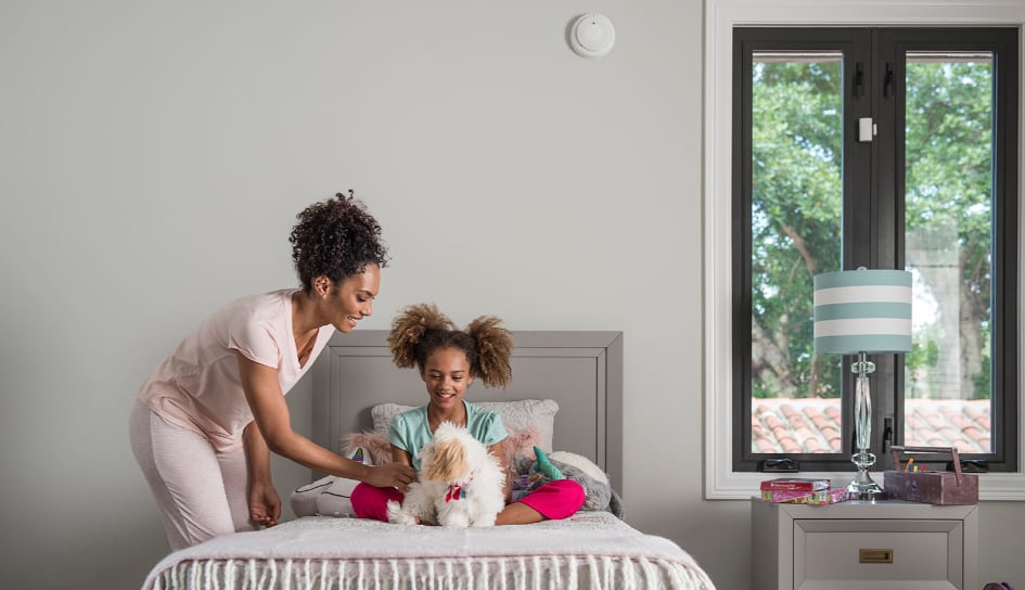 Roanoke carbon monoxide detector